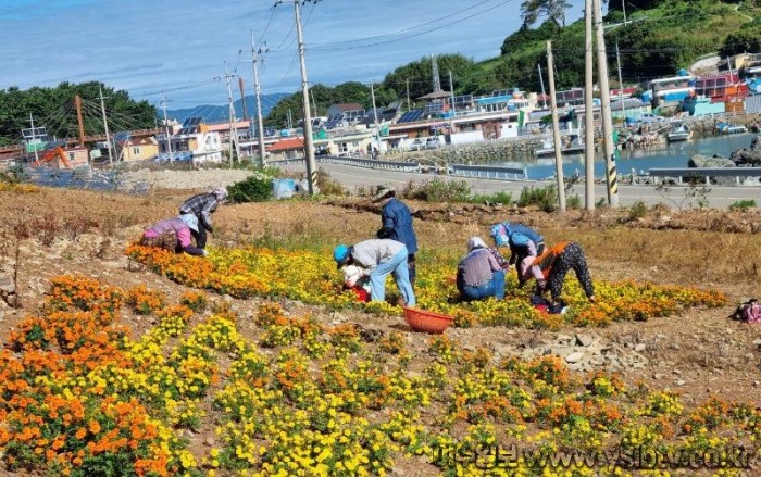 7. 여수시 남면 안도마을, 청정전남 으뜸마을 만들기 ‘구슬땀’.jpg