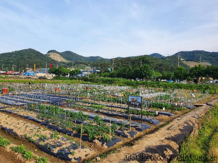 4-1. 여수시, ‘친환경 가족텃밭’, 참가 가족 선착순 모집.jpg