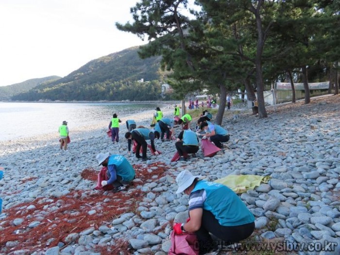 (220923) 보도자료(‘제22회 국제 연안정화의 날’맞이 정화활동 실시)사진2.jpg