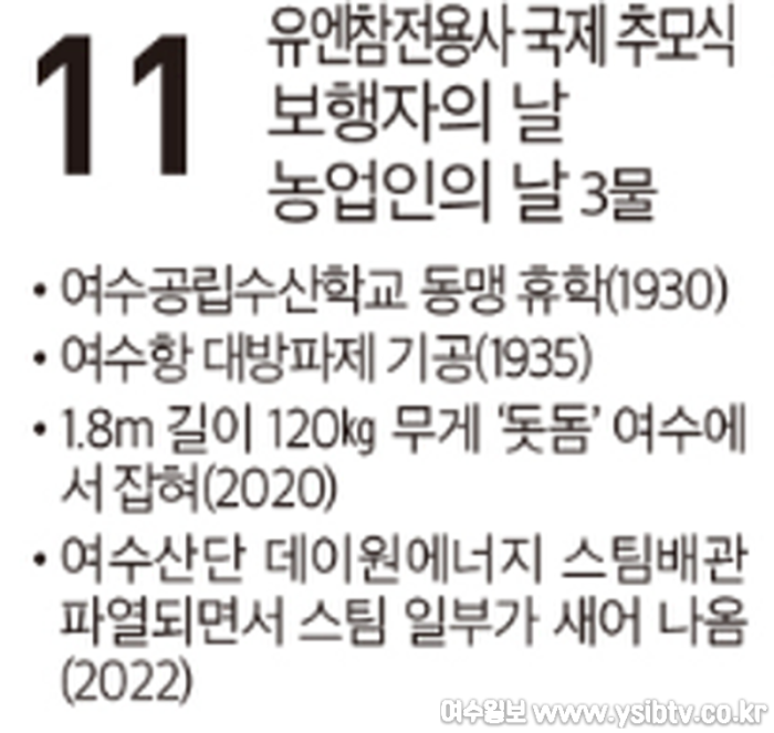 [크기변환]화면 캡처 2024-11-11 125454.png