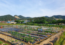 여수시, '친환경 가족텃밭', 참가 가족 선착순 모집