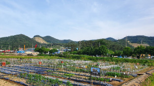 여수시, '친환경 가족텃밭', 참가 가족 선착순 모집