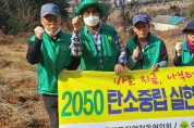 '2050 여수시 탄소중립 실현' 곳곳에서 나무심기 나서