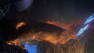 [기고문] 봄철 건조한 날씨, 산불 예방에 힘써야 할 때!