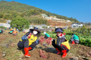 여수시 소라면 갯노을봉사팀, 새마을회 농작물수확 및 나눔