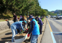 여수시 돌산읍, "겨울 꽃 보고 코로나19 지친 일상에 위로를"