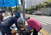 여수시 여서동, ‘여름꽃’ 식재로 향기 품은 거리 조성