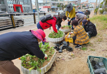 여수시 국동, 주민주도 자투리땅 봄꽃 식재