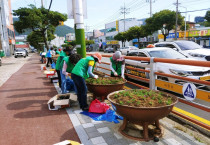 여수시 미평동 새마을부녀회, 승강장 화분 ‘가을꽃 단장’