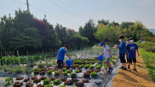 여수농업기술센터 ‘학교 텃밭’에서 창의성 쑥쑥!…10개교 모집