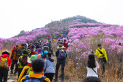 여수 봄꽃 축제, 방문객 ‘북적북적’…‘성료’