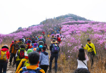 여수 봄꽃 축제, 방문객 ‘북적북적’…‘성료’