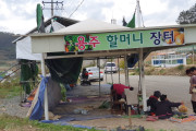 신선하고 안전한 우리 농산물, 용주 할머니 장터로 오세요~