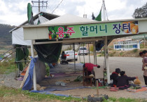 신선하고 안전한 우리 농산물, 용주 할머니 장터로 오세요~