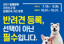 여수시, 9월 말까지 반려동물 등록 자진신고기간 운영