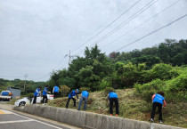 묘도동 르네상스 실천본부, 탄소중립 위한 나무심기 행사 추진