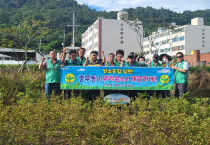 충무동 새마을지도자, 여수형 작은 정원 가꾸기 청결 활동 추진