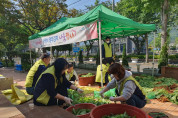 여수시 미평동, 사랑의 열무김치 나눔 행사