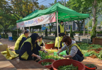 여수시 미평동, 사랑의 열무김치 나눔 행사