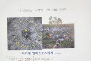 한려초등학교 어린이 환경기자, 이선우, 박가연, 김태섭, 서해나, 김성효, 박다미