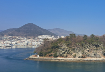 장군도 섬, 새들의 배설물로 하얗게 오염