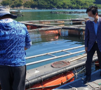 주철현 의원, 전남 고수온 피해 긴급 대책 마련 '분주'