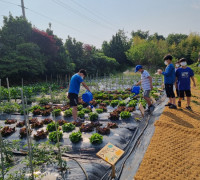 여수농업기술센터 ‘학교 텃밭’에서 창의성 쑥쑥!…10개교 모집