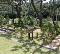 여수시, 여남초등학교 친환경 학습공간 ‘학교숲 조성’