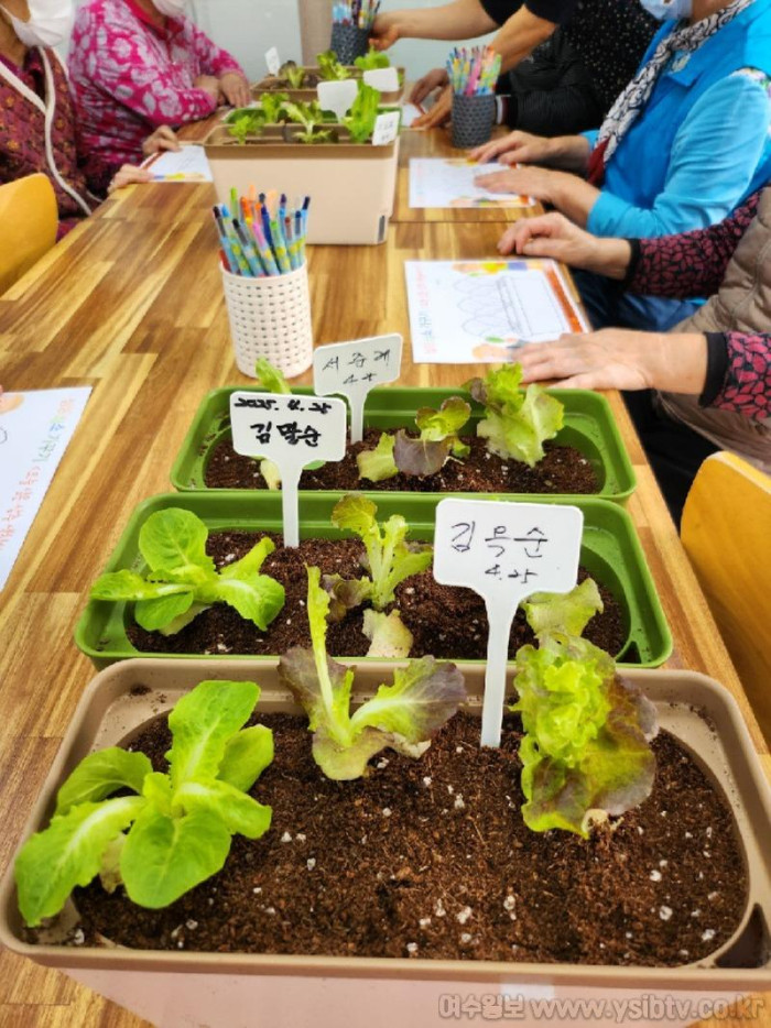 [크기변환]9-1. 광양시 급식관리지원센터, 봄맞이 모종 심기 프로그램 운영 - 식품위생과(활동 사진1).jpg