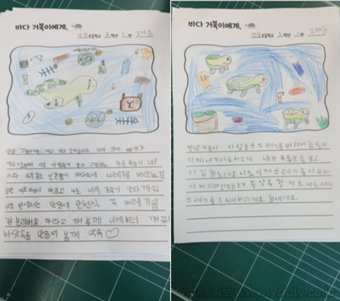 [크기변환]바다거북 끝.png