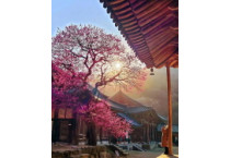 ［포토뉴스］2025 제5회 화엄사 홍매화 · 들매화 사진 콘테스트