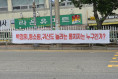 여수시 전역에 정치적 문구 담긴 불법 현수막 무단 게시