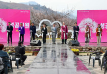 매화꽃 없는 광양매화축제, 개화률 10%도 못미쳐