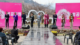 매화꽃 없는 광양매화축제, 개화률 10%도 못미쳐