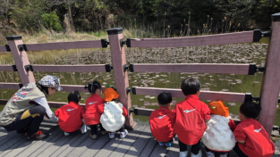 광양시, ‘중마동 숲체험 프로그램’ 운영…도심 속 생태체험 기회 제공